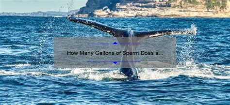 how many gallons do whales ejaculate